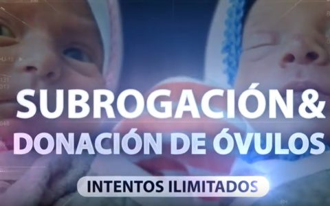 Tratamiento de infertilidad paso a paso en BioTexCom: Maternidad Subrogada y donación de óvulos