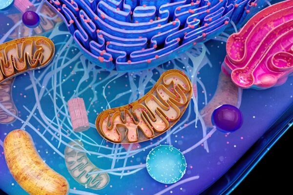 El futuro de la medicina reproductiva: el “hijo de tres padres”