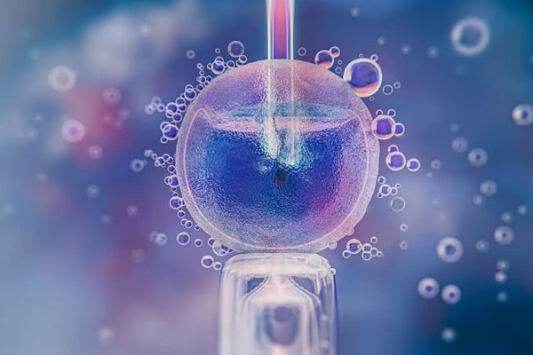 Qué es la FIV con óvulos donados