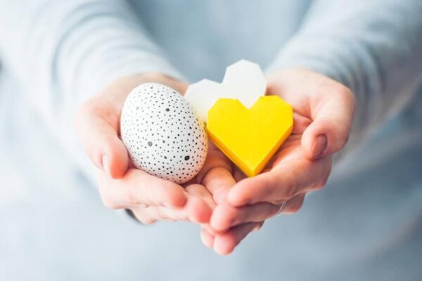 Donación de óvulos: cómo funciona